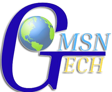 MSN Global Logo